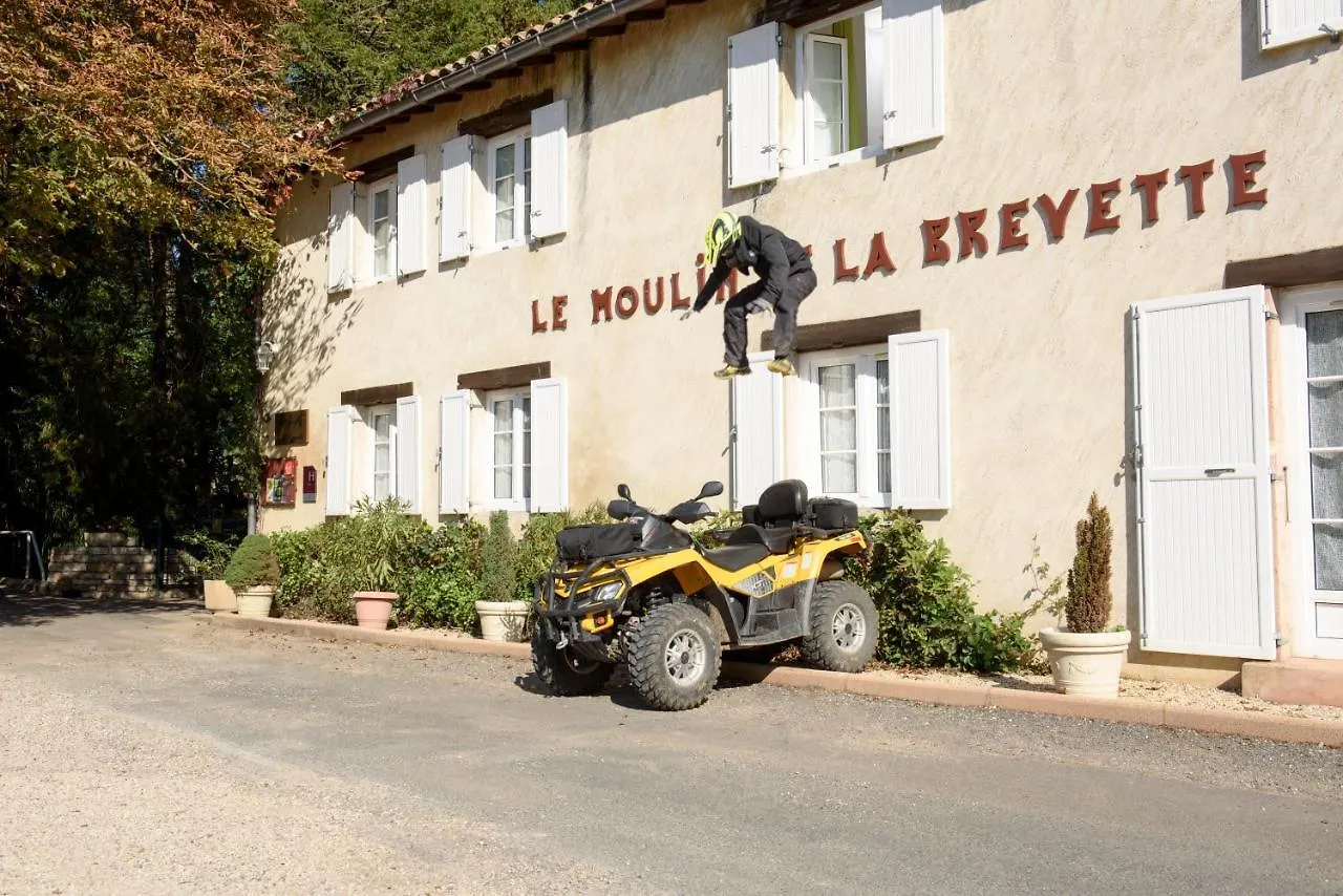 Hotel Du Moulin De La Brevette Arbigny
