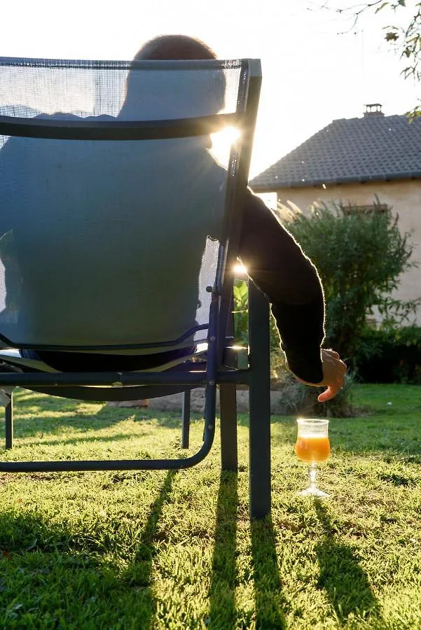 Hotel Du Moulin De La Brevette Arbigny 3*,